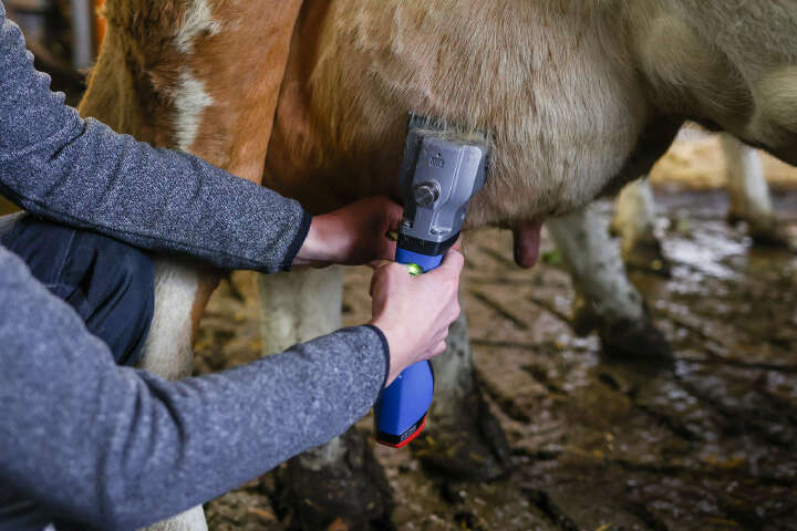 AESCULAP Akkuschermaschine Bonum Rind inkl. 1 Akku